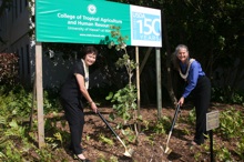 Sylvia Yuen and Diane Ley mulching tree
